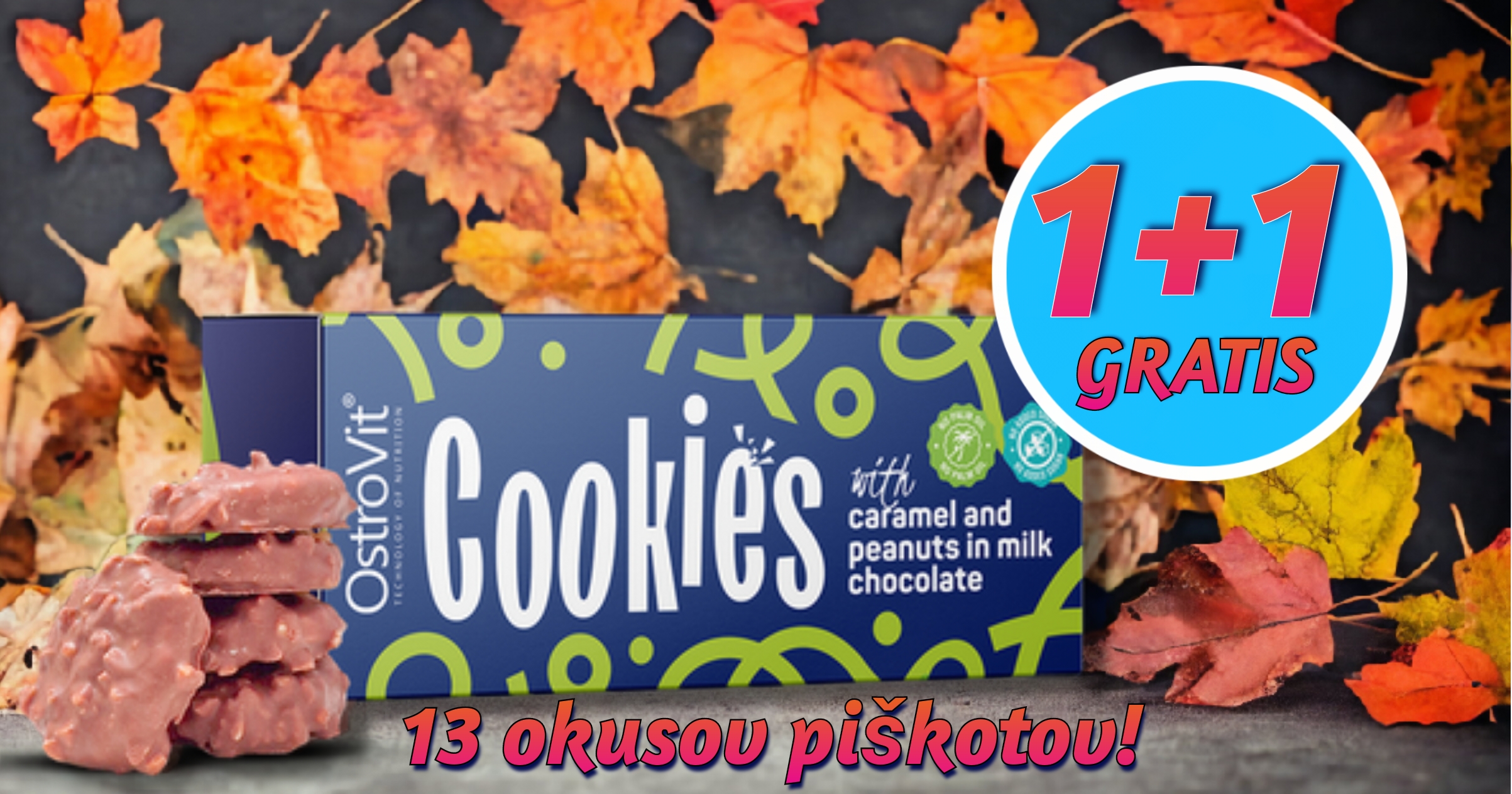 Top Slider 1 Banner 1